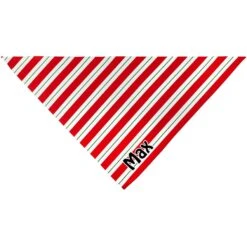 Frisco Peppermint Personalized Dog & Cat Bandana 11 Frisco Peppermint Personalized Dog & Cat Bandana -Frisco Sales Store 242807 PT3. AC SS1800 V1618507377