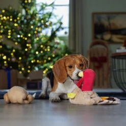 Frisco Holiday Turkey 2-in-1 Plush Squeaky Dog Toy -Frisco Sales Store 244925 PT3. AC SS1800 V1661874063