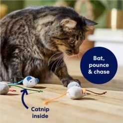 Frisco Mice Plush Cat Toy With Catnip -Frisco Sales Store 245899 PT2. AC SS1800 V1678723852