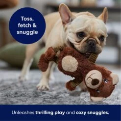 Frisco Bear Plush Squeaky Dog Toy 10 Frisco Bear Plush Squeaky Dog Toy -Frisco Sales Store 245924 PT4. AC SS1800 V1695760929