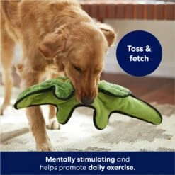 Frisco Alligator Stuffing-Free Flat Plush Squeaky Dog Toy -Frisco Sales Store 245943 PT2. AC SS1800 V1678723898