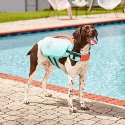 Frisco Active Dog Life Jacket 16 Frisco Active Dog Life Jacket -Frisco Sales Store 247894 PT7. AC SS1800 V1616506092