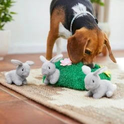 Frisco Spring Bunny Burrow Hide & Seek Plush Squeaky Dog Toy -Frisco Sales Store 248039 PT5. AC SS1800 V1608767863