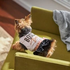 Frisco Boss Babe Dog & Cat Dress -Frisco Sales Store 248674 PT7. AC SS1800 V1613666625