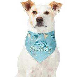 Frisco It's My Birthday Dog & Cat Bandana, Blue -Frisco Sales Store 248697 PT2. AC SS1800 V1633081896