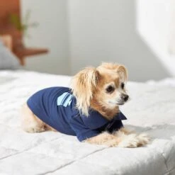 Frisco Dog & Cat Polo Shirt With Accent Pocket 15 Frisco Dog & Cat Polo Shirt With Accent Pocket -Frisco Sales Store 248880 PT7. AC SS1800 V1644960683