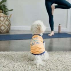 Frisco Mama's Yoga Pawtner Dog & Cat T-Shirt -Frisco Sales Store 248966 PT7. AC SS1800 V1614201756