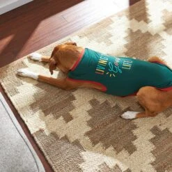 Frisco Living The Good Life Dog & Cat T-Shirt -Frisco Sales Store 248973 PT7. AC SS1800 V1644476808