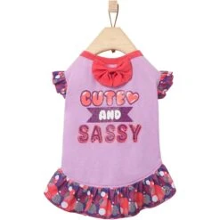 Frisco Cute & Sassy Dog & Cat Dress -Frisco Sales Store 249073 PT3. AC SS1800 V1644960094