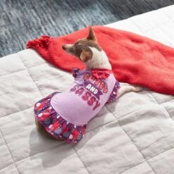 Frisco Cute & Sassy Dog & Cat Dress -Frisco Sales Store 249073 PT5. AC SS1800 V1644960392