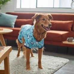 Frisco Happy Shark Dog & Cat Jersey PJs 11 Frisco Happy Shark Dog & Cat Jersey PJs -Frisco Sales Store 249122 PT7. AC SS1800 V1614276183