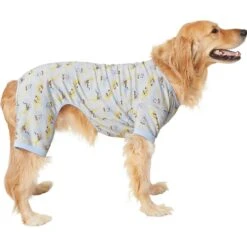 Frisco Sleepy Sloths Dog & Cat Jersey PJs 7 Frisco Sleepy Sloths Dog & Cat Jersey PJs -Frisco Sales Store 249144 PT2. AC SS1800 V1632416471