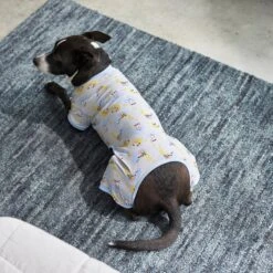 Frisco Sleepy Sloths Dog & Cat Jersey PJs 9 Frisco Sleepy Sloths Dog & Cat Jersey PJs -Frisco Sales Store 249144 PT7. AC SS1800 V1614369158