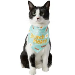 Frisco Brunch Please Dog & Cat Bandana 10 Frisco Brunch Please Dog & Cat Bandana -Frisco Sales Store 249207 PT2. AC SS1800 V1696597732