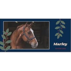 Frisco Berry Garland Personalized Coffee Mug, 11-oz -Frisco Sales Store 249333 PT2. AC SS1800 V1602863774