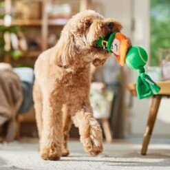 Frisco St. Patrick's Leprechaun Plush With Tennis Ball Squeaky Dog Toy -Frisco Sales Store 249472 PT4. AC SS1800 V1700163040