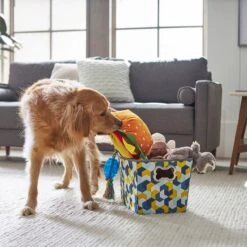 Frisco Rectangle Collapsible Pet Toy Storage Bin, Yellow Geometric -Frisco Sales Store 250578 PT3. AC SS1800 V1615572198