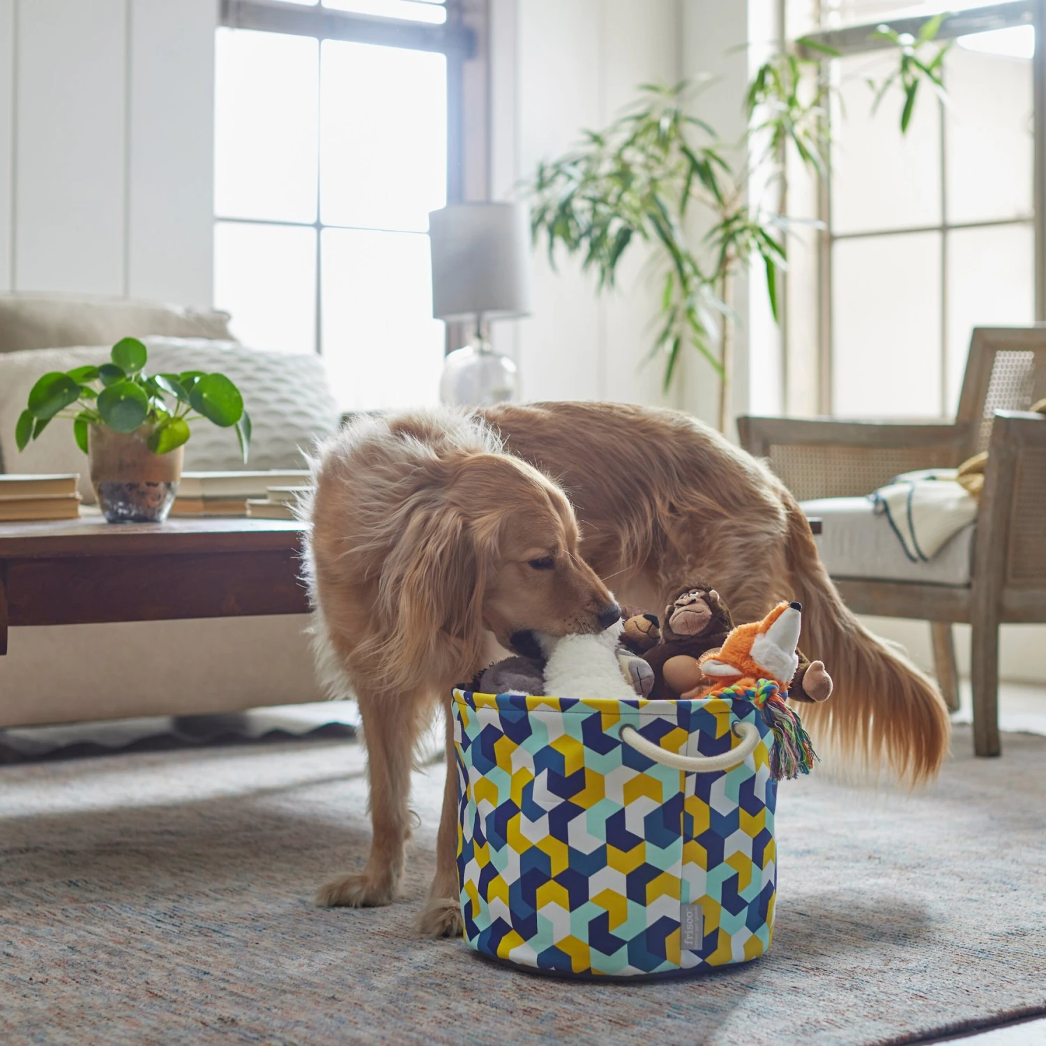 Frisco Round Collapsible Pet Toy Storage Bin, Yellow Geometric 1 Frisco Round Collapsible Pet Toy Storage Bin, Yellow Geometric
