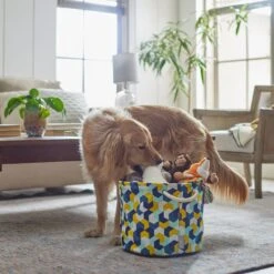 Frisco Round Collapsible Pet Toy Storage Bin, Yellow Geometric 7 Frisco Round Collapsible Pet Toy Storage Bin, Yellow Geometric -Frisco Sales Store 250587 PT3. AC SS1800 V1615572147