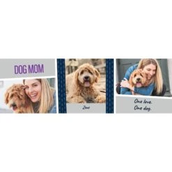 Frisco Double Walled "Dog Mom" Personalized Tumbler, 30-oz Cup -Frisco Sales Store 250741 PT2. AC SS1800 V1602689509