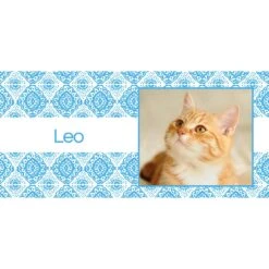 Frisco Double Walled Boho Damask Personalized Tumbler, 30-oz Cup 7 Frisco Double Walled Boho Damask Personalized Tumbler, 30-oz Cup -Frisco Sales Store 250749 PT2. AC SS1800 V1606680445