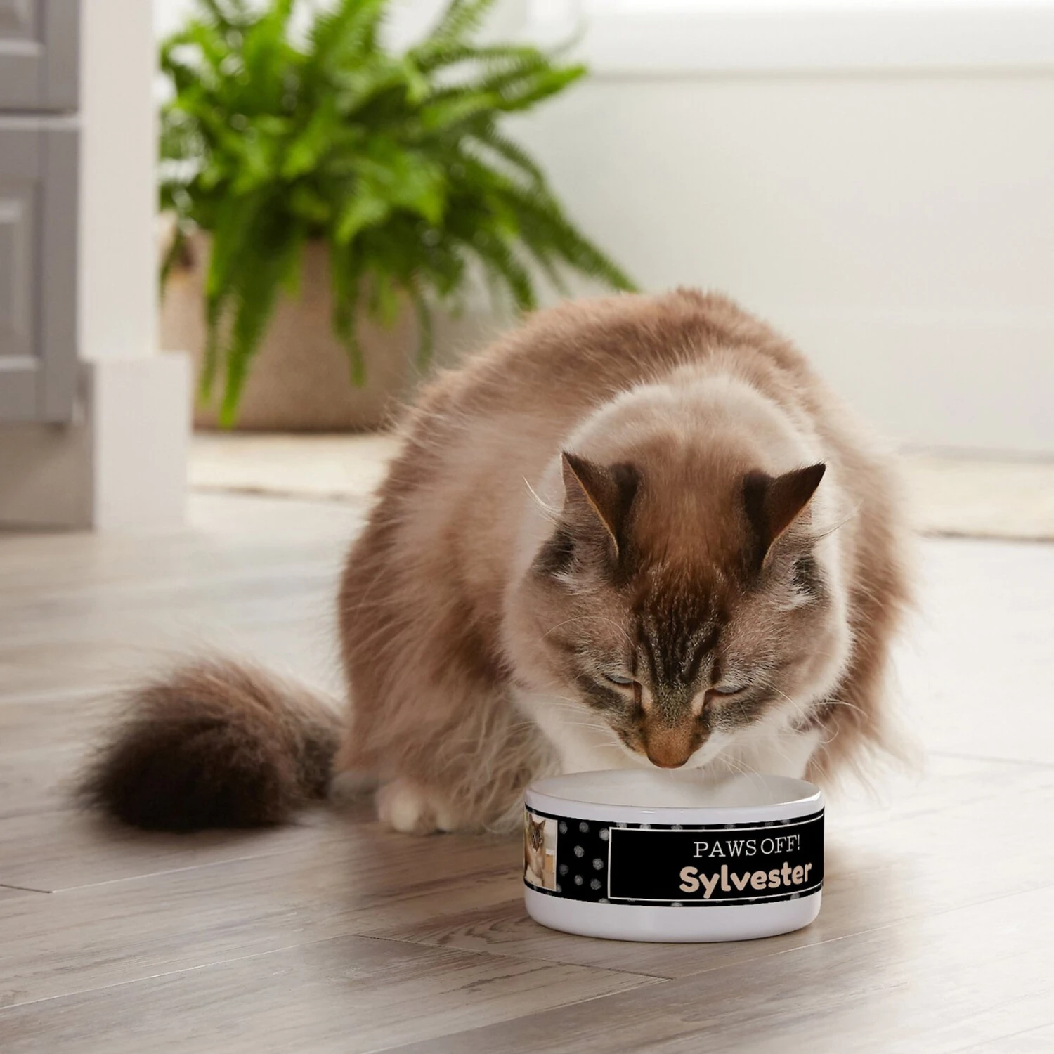 Frisco "Paws Off" Ceramic Personalized Dog & Cat Bowl 4 Frisco "Paws Off" Ceramic Personalized Dog & Cat Bowl - Image 4