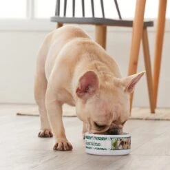 Frisco Boho Damask Ceramic Personalized Dog & Cat Bowl -Frisco Sales Store 250833 PT3. AC SS1800 V1610758070