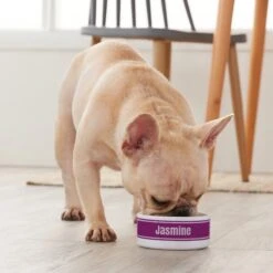 Frisco Preppy Stripes Ceramic Personalized Dog & Cat Bowl 7 Frisco Preppy Stripes Ceramic Personalized Dog & Cat Bowl -Frisco Sales Store 250837 PT3. AC SS1800 V1610764911