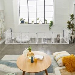 Frisco 6-Panel Plastic Exercise Dog Playpen, Light Gray -Frisco Sales Store 252045 PT6. AC SS1800 V1611090517