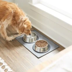 Frisco Silicone Dog & Cat Food Mat -Frisco Sales Store 253040 PT2. AC SS1800 V1616522564