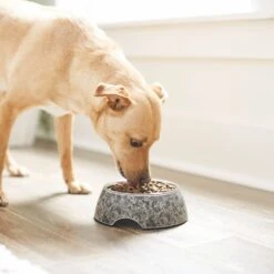 Frisco Black Marble Design Stainless Steel Dog & Cat Bowl 11 Frisco Black Marble Design Stainless Steel Dog & Cat Bowl -Frisco Sales Store 253048 PT2. AC SS1800 V1616526446