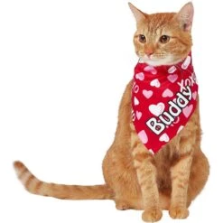 Frisco XOXO Hearts Personalized Dog & Cat Bandana -Frisco Sales Store 254203 PT7. AC SS1800 V1632417974