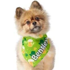 Frisco Green Ale Personalized Dog & Cat Bandana -Frisco Sales Store 254207 PT6. AC SS1800 V1618509755