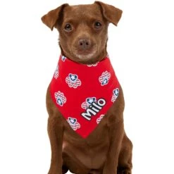 Frisco Patriotic Paws Personalized Dog & Cat Bandana 15 Frisco Patriotic Paws Personalized Dog & Cat Bandana -Frisco Sales Store 254243 PT6. AC SS1800 V1619557657