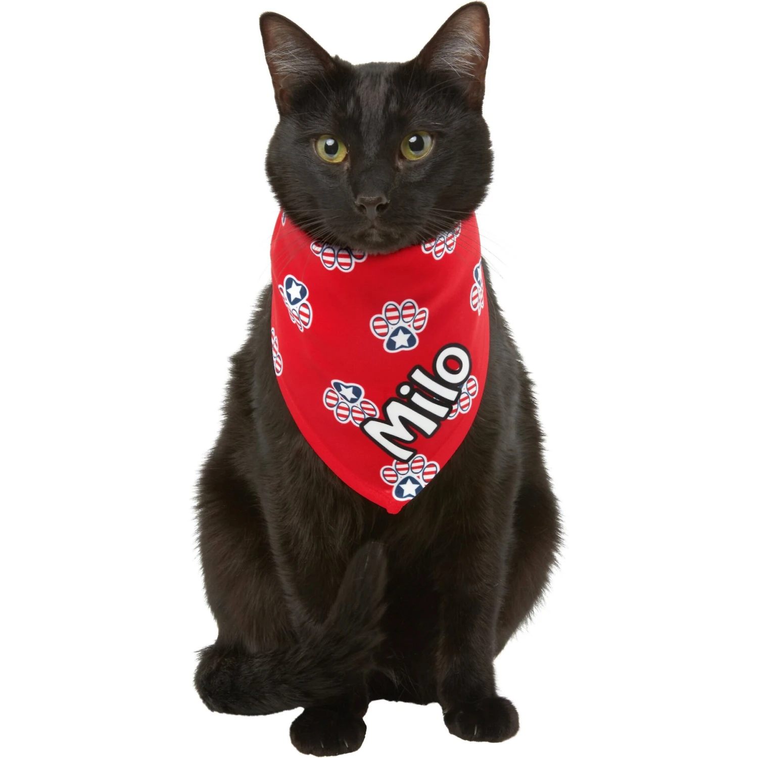 Frisco Patriotic Paws Personalized Dog & Cat Bandana 8 Frisco Patriotic Paws Personalized Dog & Cat Bandana - Image 8