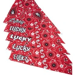Frisco Paisley Printed Personalized Dog & Cat Bandana 13 Frisco Paisley Printed Personalized Dog & Cat Bandana -Frisco Sales Store 254247 PT4. AC SS1800 V1618511570