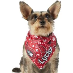 Frisco Paisley Printed Personalized Dog & Cat Bandana 15 Frisco Paisley Printed Personalized Dog & Cat Bandana -Frisco Sales Store 254247 PT6. AC SS1800 V1618507975