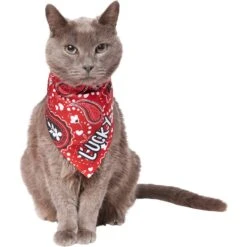 Frisco Paisley Printed Personalized Dog & Cat Bandana 16 Frisco Paisley Printed Personalized Dog & Cat Bandana -Frisco Sales Store 254247 PT7. AC SS1800 V1618508211