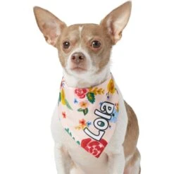 Frisco Floral Personalized Dog & Cat Bandana 15 Frisco Floral Personalized Dog & Cat Bandana -Frisco Sales Store 254255 PT6. AC SS1800 V1618507356