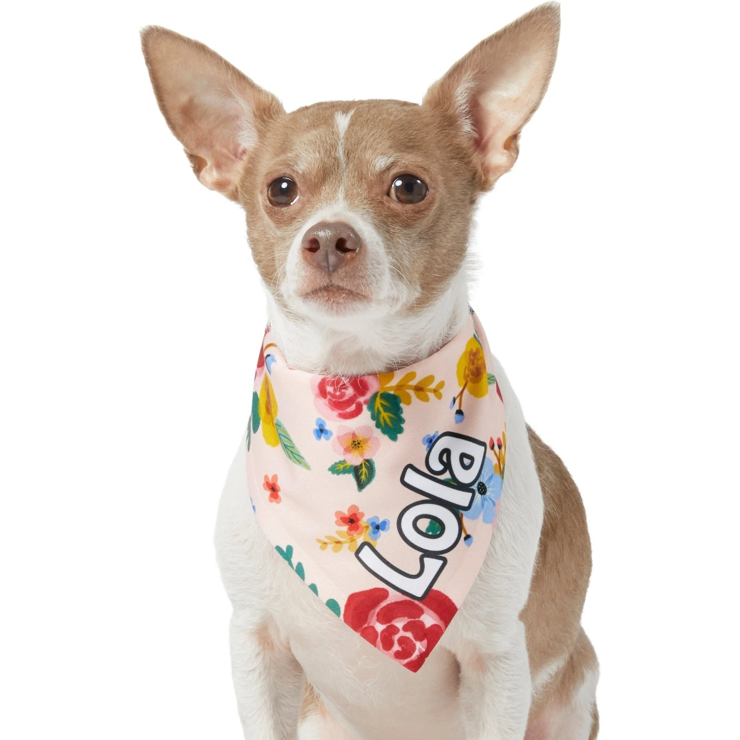 Frisco Floral Personalized Dog & Cat Bandana 7 Frisco Floral Personalized Dog & Cat Bandana - Image 7