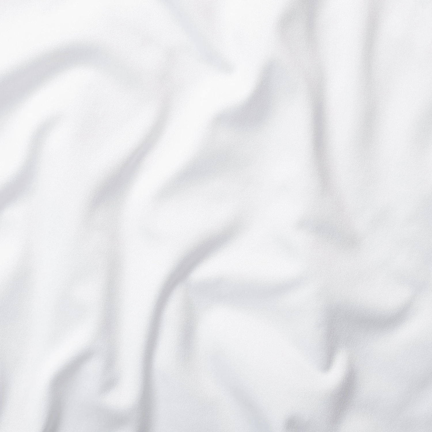 Frisco Floral Personalized Dog & Cat Bandana 9 Frisco Floral Personalized Dog & Cat Bandana - Image 9