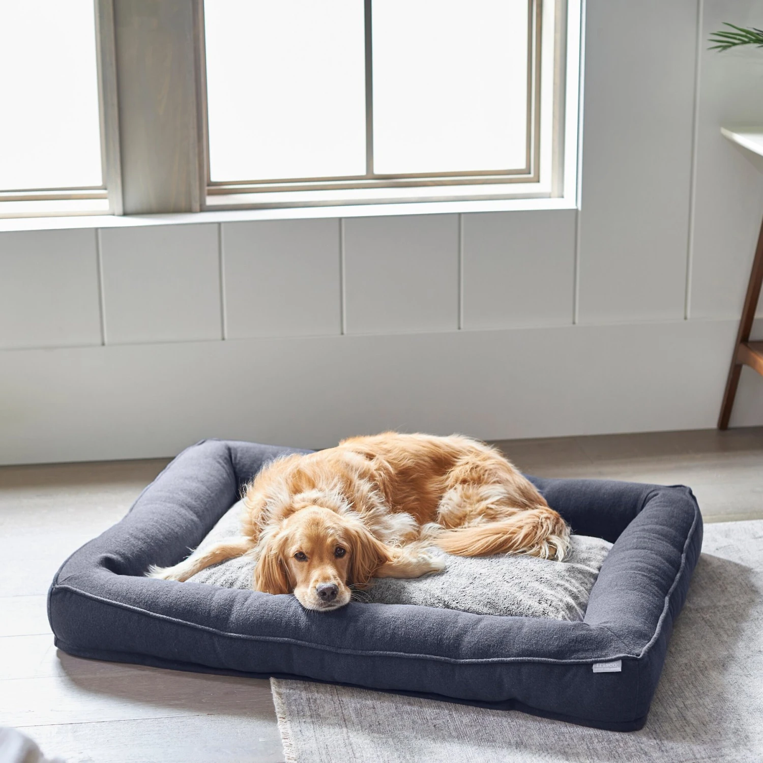 Frisco Faux Felt Orthopedic Rectangular Bolster Dog Bed W/Removable Cover 1 Frisco Faux Felt Orthopedic Rectangular Bolster Dog Bed W/Removable Cover