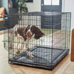 Frisco Self Warming Dog Crate Mat 11 Frisco Self Warming Dog Crate Mat -Frisco Sales Store 255337 PT5. AC SS1800 V1616102293