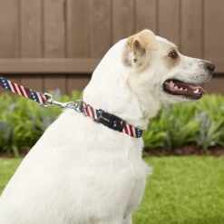 Frisco American Flag Polyester Dog Leash & Frisco American Flag Polyester Dog Collar 6 Frisco American Flag Polyester Dog Leash & Frisco American Flag Polyester Dog Collar -Frisco Sales Store 255455 PT2. AC SS1800 V1602706575