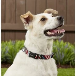 Frisco American Flag Polyester Dog Leash & Frisco American Flag Polyester Dog Collar 7 Frisco American Flag Polyester Dog Leash & Frisco American Flag Polyester Dog Collar -Frisco Sales Store 255455 PT4. AC SS1800 V1602706581