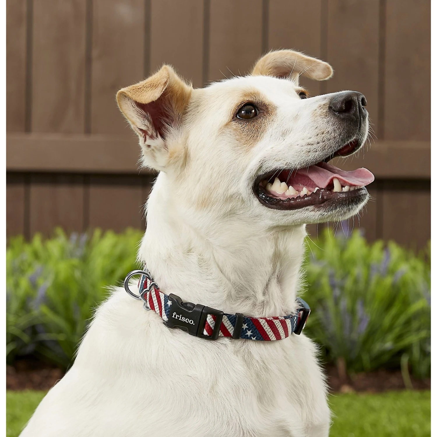 Frisco American Flag Polyester Dog Leash & Frisco American Flag Polyester Dog Collar 4 Frisco American Flag Polyester Dog Leash & Frisco American Flag Polyester Dog Collar - Image 4