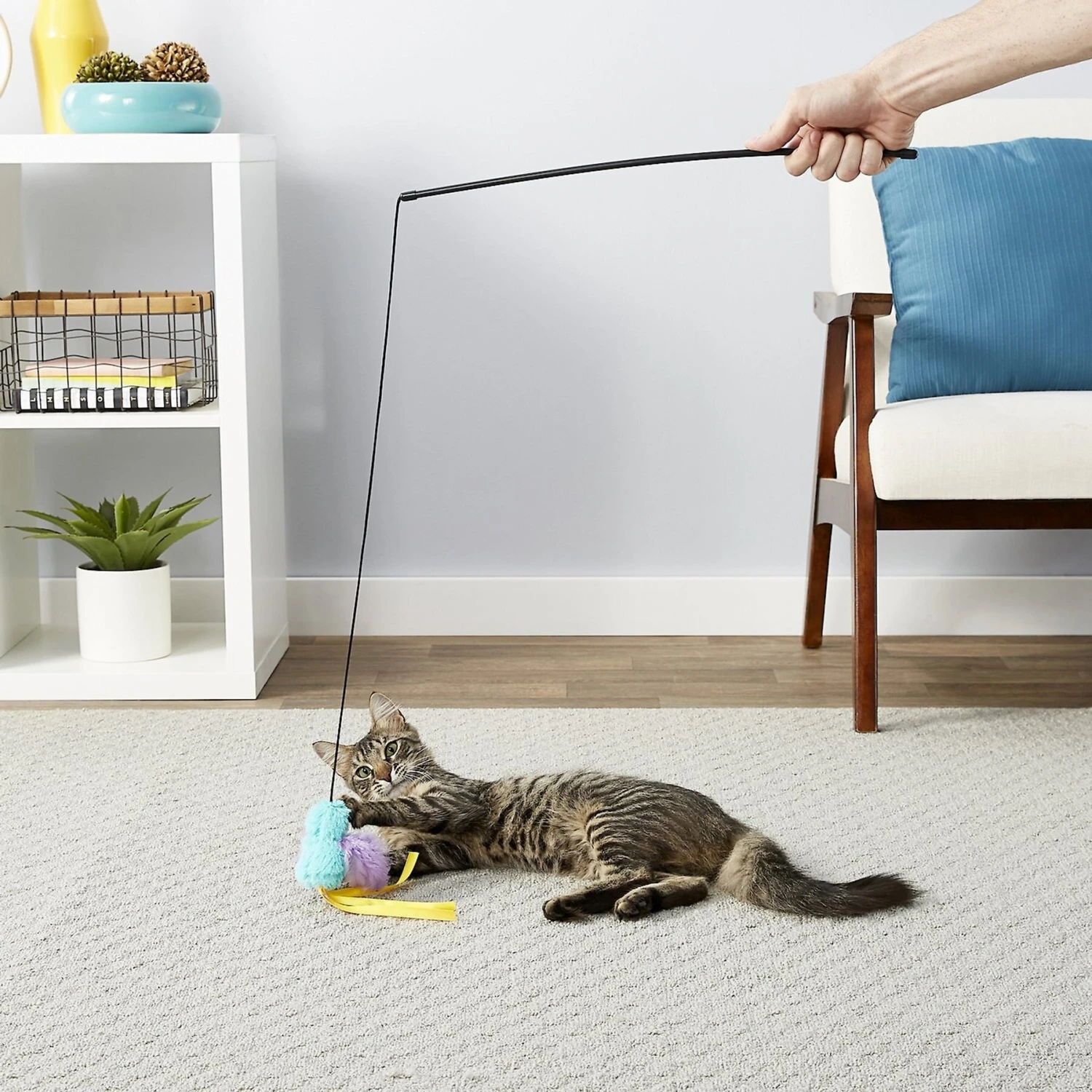 Frisco Bird With Feathers Teaser Wand Cat Toy With Catnip & OurPets Cosmic Catnip 3 Frisco Bird With Feathers Teaser Wand Cat Toy With Catnip & OurPets Cosmic Catnip - Image 3