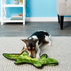 Frisco Alligator Stuffing-Free Flat Plush Squeaky Dog Toy & Frisco Raccoon Stuffing-Free Flat Plush Squeaky Dog Toy -Frisco Sales Store 255471 PT2. AC SS1800 V1602691584