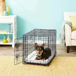 Frisco Fold & Carry Single Door Collapsible Wire Dog Crate & Frisco Quilted Dog Crate Mat -Frisco Sales Store 255493 PT2. AC SS1800 V1603545085
