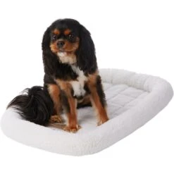 Frisco Fold & Carry Single Door Collapsible Wire Dog Crate & Frisco Quilted Dog Crate Mat -Frisco Sales Store 255493 PT4. AC SS1800 V1603545111